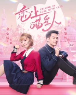 我市召开教育领域安全工作专题会议