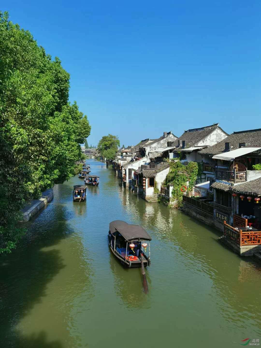 探探猫历险记